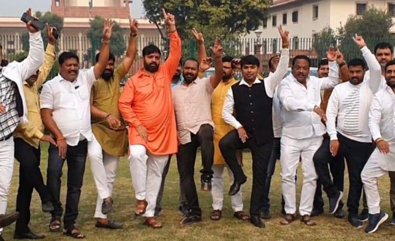 बैलगाडा शर्यतीचे खरे मानकरी महेशदादाच !