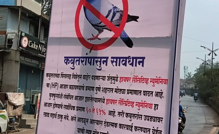 कबूतर महत्त्वाचं का माणसाचा जीव?
