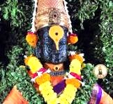 विठ्ठल दर्शनासाठी भविकाकडून ११ हजार शुल्क घेणाऱ्या व्यक्तीवर गुन्हा दाखल!