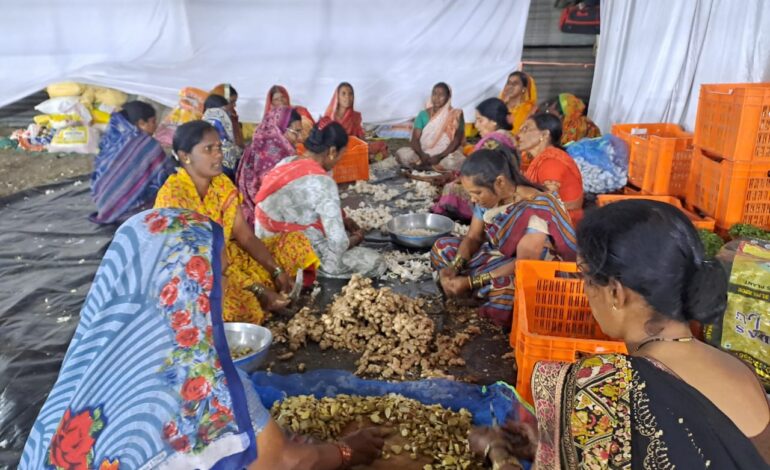 लाखो मांडे आणि पुरणपोळ्यांचा प्रसाद