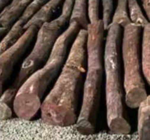 पुणे-मुंबई एक्स्प्रेस वेवर कोट्यवधींचे चंदन जप्त!