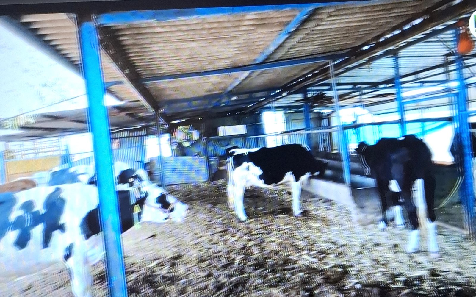 पशुसंवर्धन विभागाच्या योजनांसाठी ऑनलाईन अर्ज करण्याचे आवाहन!