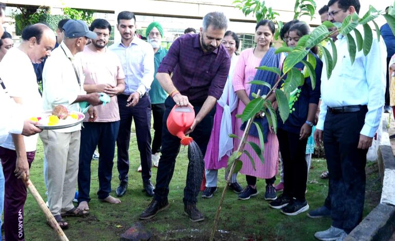 जागतिक पर्यावरण दिनानिमित्त १८९९ रोपट्यांचे आज वृक्षारोपण!