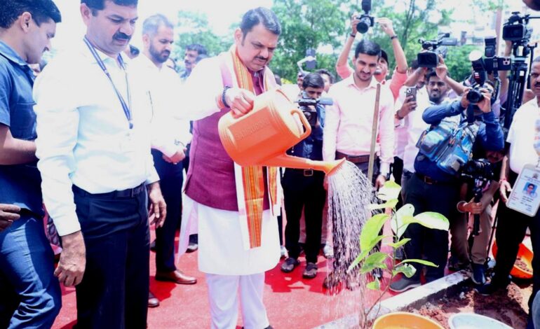 पिंपरी चिंचवड शहरात दर दहा मीटर अंतरावर देशी वृक्ष लागवड!