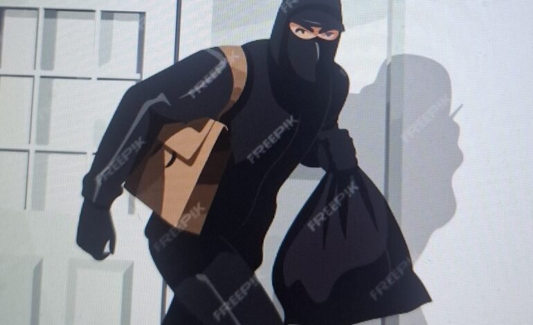 दुकानातील पावणेतीन लाखाची चोरी; एकास अटक