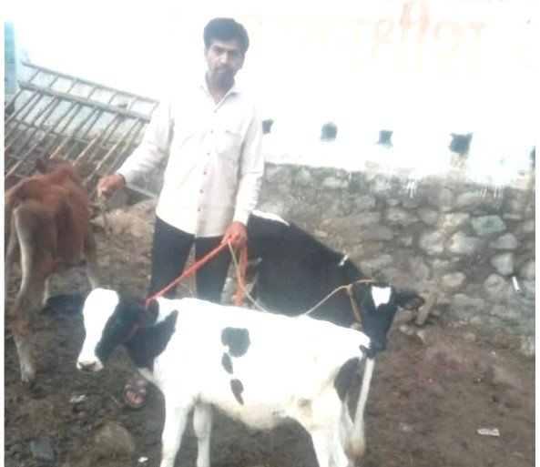 गोरक्षक युवराज गवळी यांनी राबवली “गोदान” मोहीम !