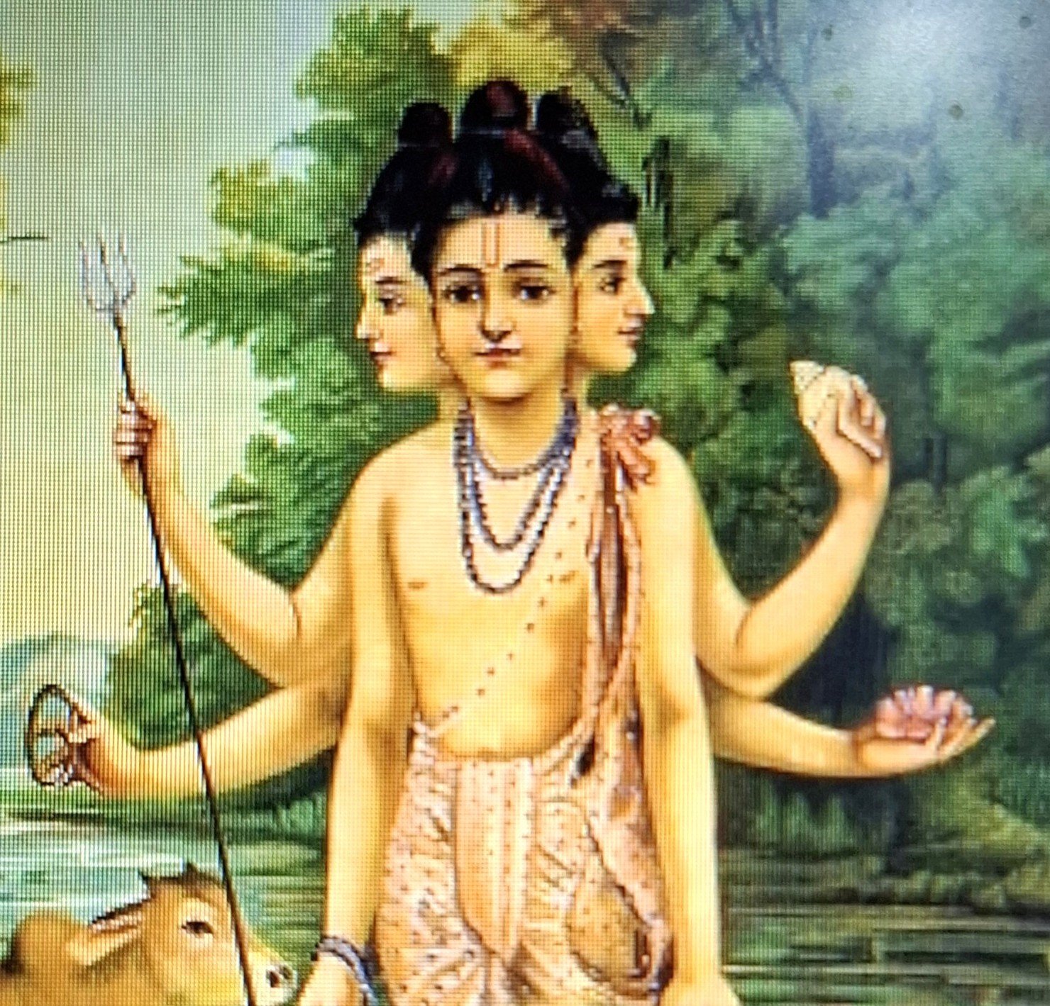 श्री दत्त जयंती निमित्त दत्त मंदिरात विविध धार्मिक कार्यक्रमांचे आयोजन!