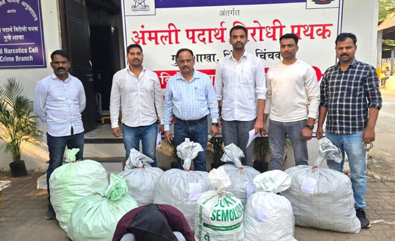गांजा मिश्रित गोळ्यांची विक्री ;एकास अटक!