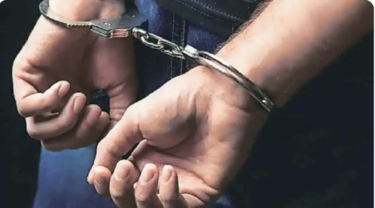 सासू वर कोयत्याने वार केल्याने गंभीर जखमी; जावई अटकेत!